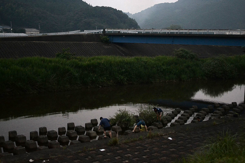 日和佐川でテナガエビ漁に精を出す大人たち。夕暮れの、田畑の匂いを少し含んだしっとりした空気もまた魅力